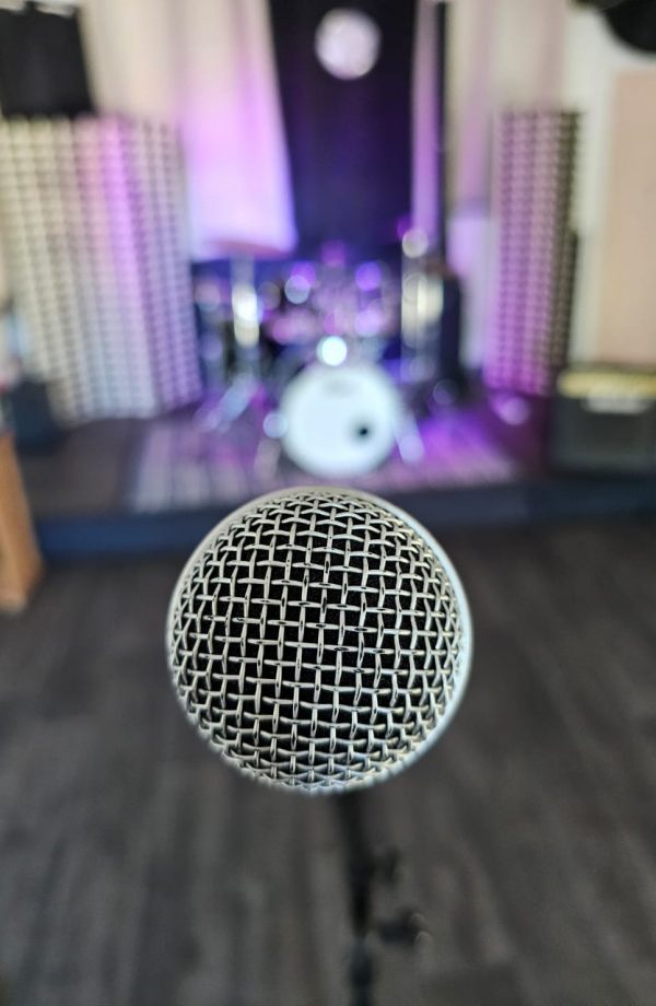 Mic Mic